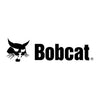 Bobcat