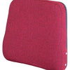Case/Case IH/International Harvester/Massey Ferguson/Versatile Replacement Backrest Cushion - Red Cloth