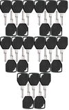 #40 (81404) Fermac/JCB/Terex Replacement Key *25 Pack*