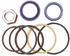 Bobcat 7137772 Hydraulic Cylinder Seal Kit