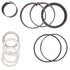 Case 1543261C1 G109471 Replacement Hydraulic Cylinder Seal Kit