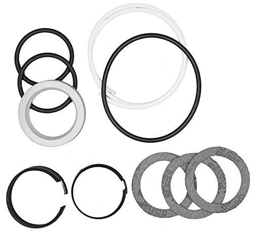 Case D42870 Hydraulic Cylinder Seal Kit