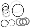 Case D42870 Replacement Hydraulic Cylinder Seal Kit