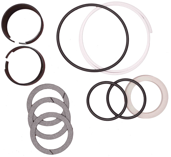 Case D42873 Replacement Hydraulic Cylinder Seal Kit