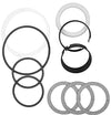 Case D42874 Replacement Hydraulic Cylinder Seal Kit