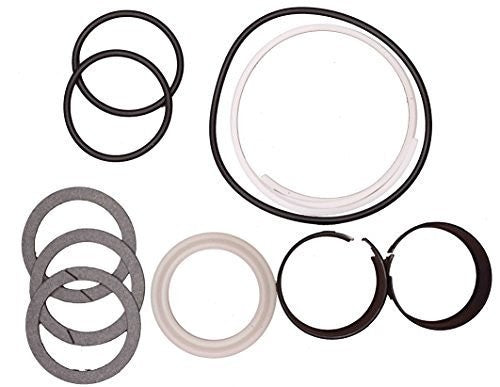 Case D42875 Replacement Hydraulic Cylinder Seal Kit