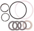 Case D47896 Replacement Hydraulic Cylinder Seal Kit