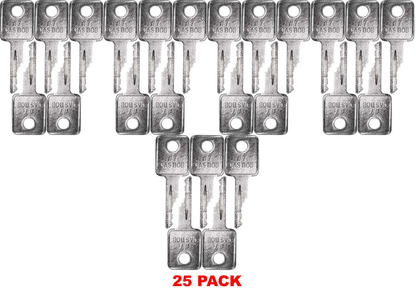 (D250) Case Common Key *25 Pack*