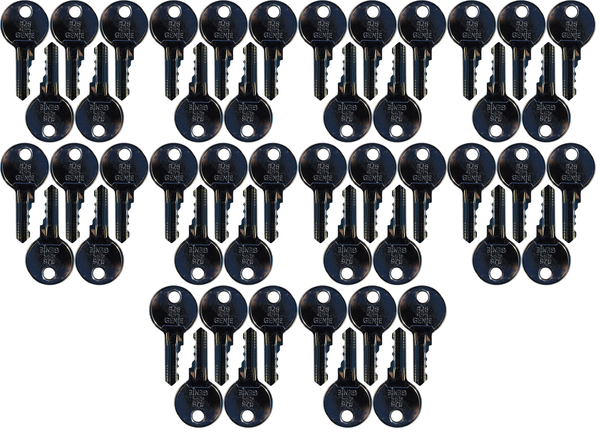 #26 (455) Genie/Skytrak/Terex Replacement Key *50 Pack*