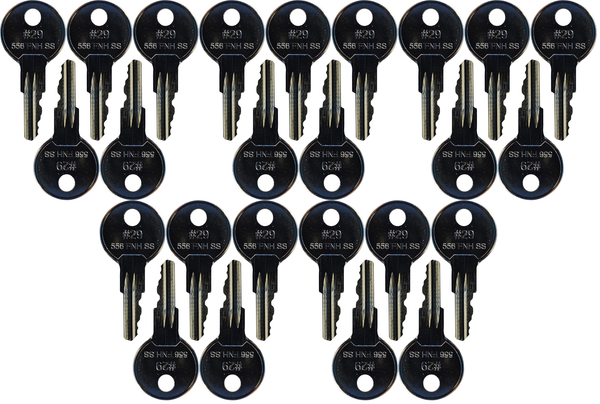 #29 (556) Ford/Hyster/Lull/Holland Replacement Key *25 Pack*