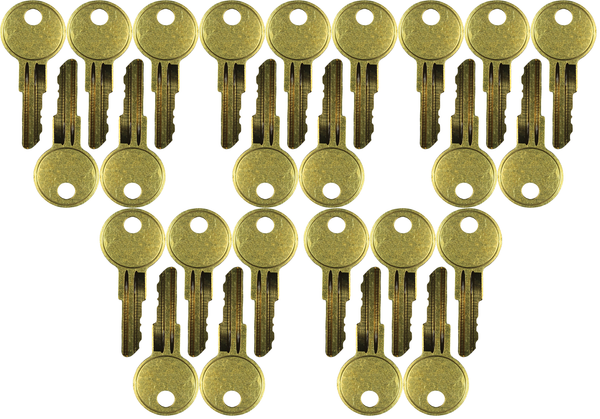 #37 (TRX LFT) Terex Lift Replacement Key *25 Pack*