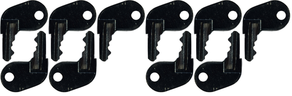 #74 Finn Skid Steer Replacement Key *10 Pack*