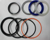 New Holland 87428628 Hydraulic Cylinder Seal Kit