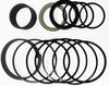 John Deere RE18756 Replacement Hydraulic Cylinder Seal Kit